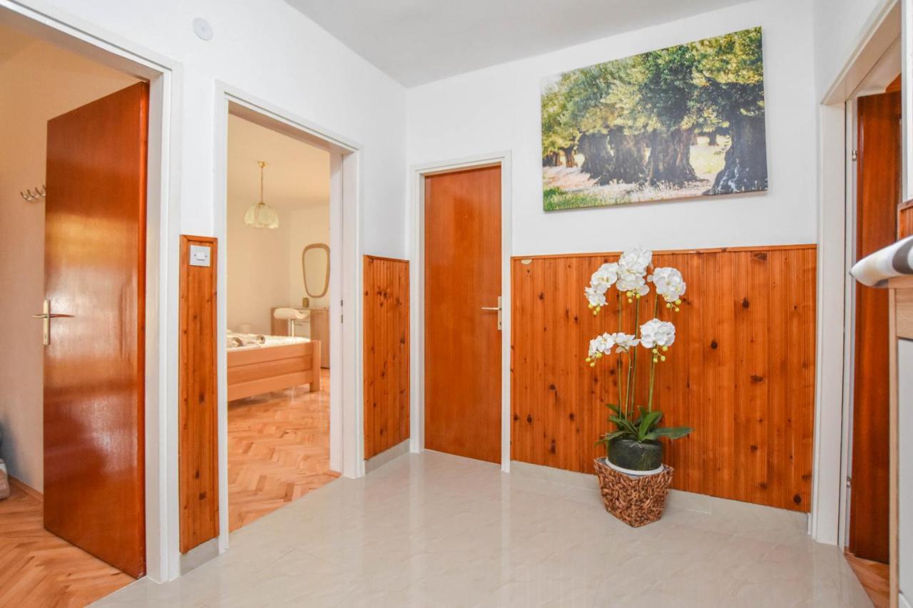 Apartments Dandelion بيوغْغاد نا موغو المظهر الخارجي الصورة
