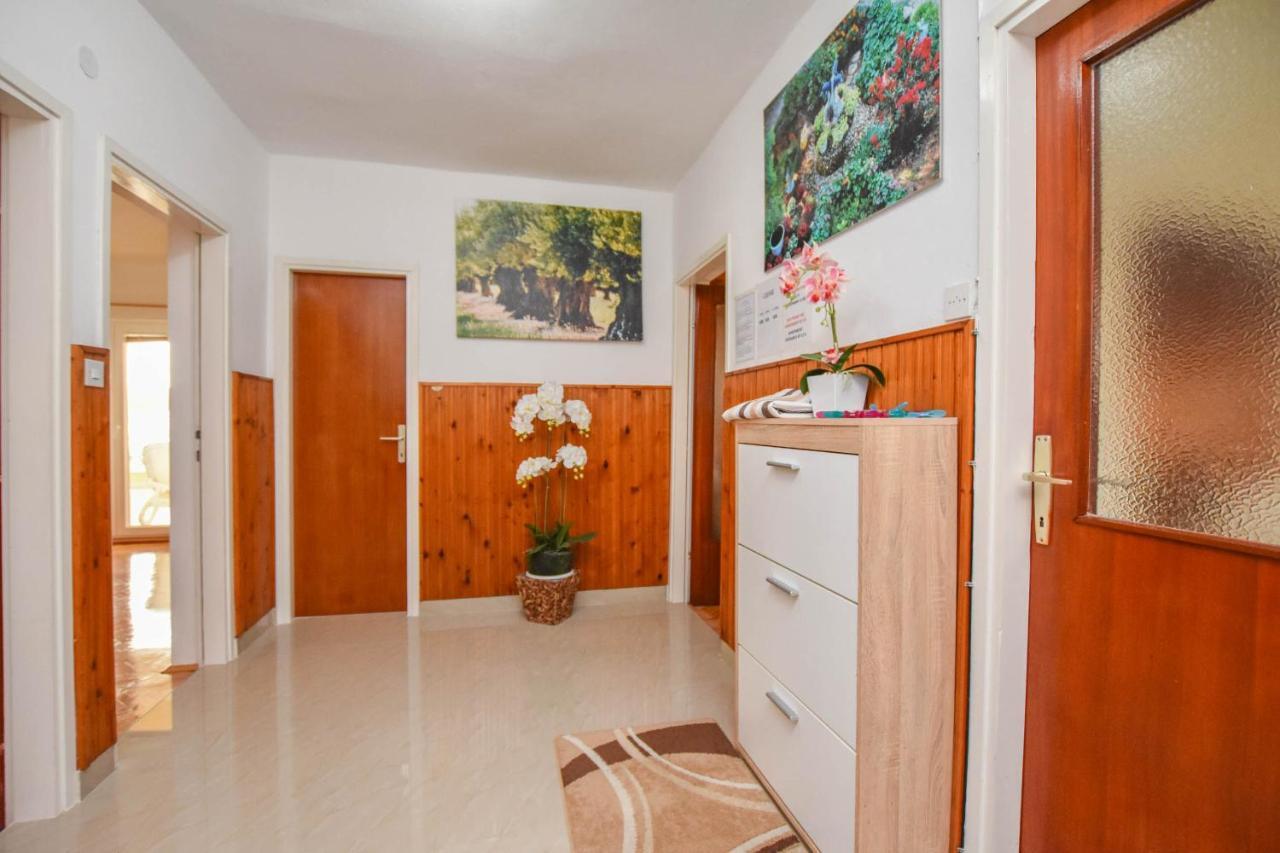 Apartments Dandelion بيوغْغاد نا موغو المظهر الخارجي الصورة