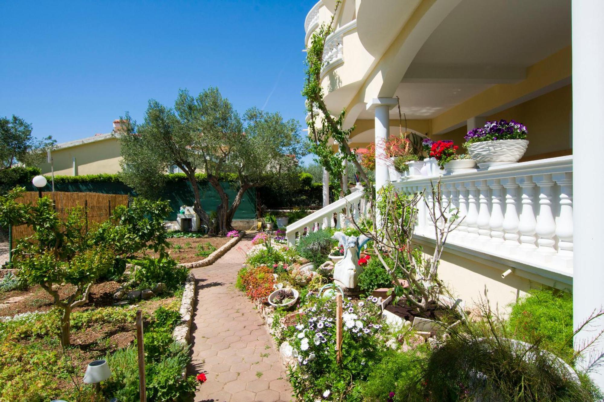Apartments Dandelion بيوغْغاد نا موغو المظهر الخارجي الصورة